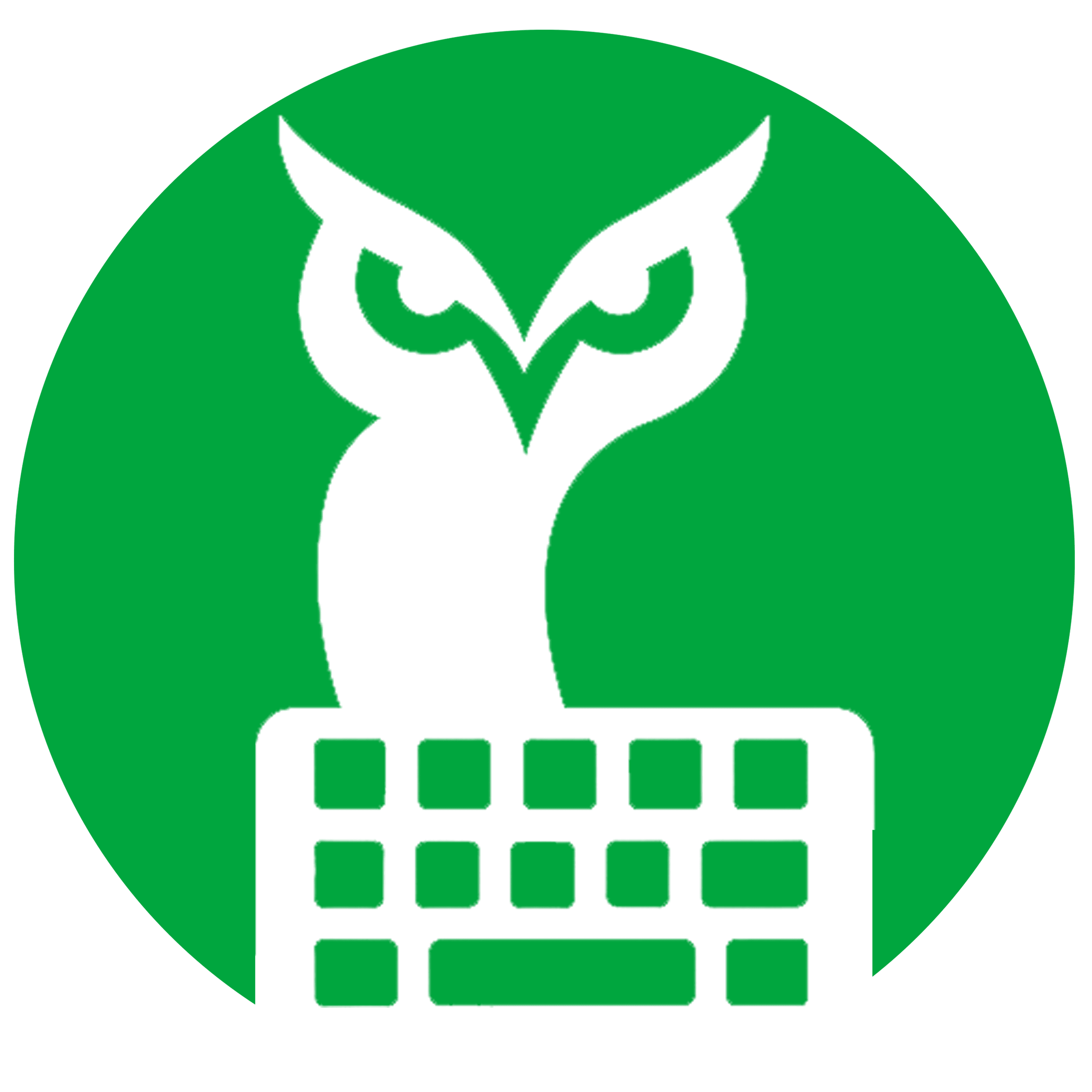 TypingOwl Logo